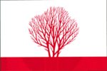 Singerei rajon flag